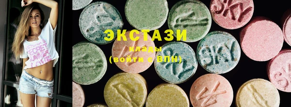 индика Осинники