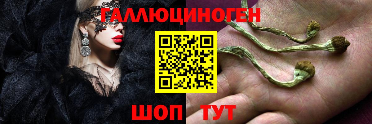 Галлюциногенные грибы MAGIC MUSHROOMS  Галлюциногенные грибы Magic Shrooms  Сунжа 