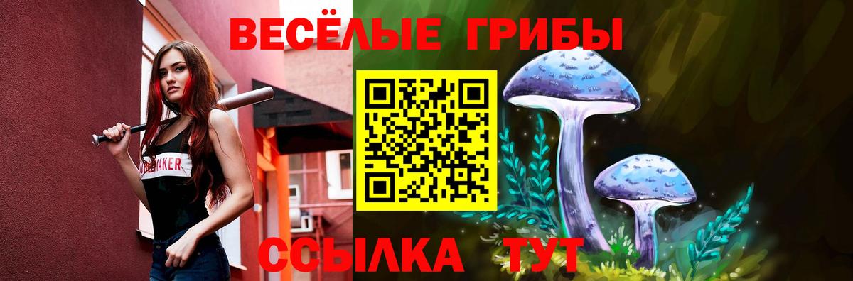 Бошки Шишки Сунжа