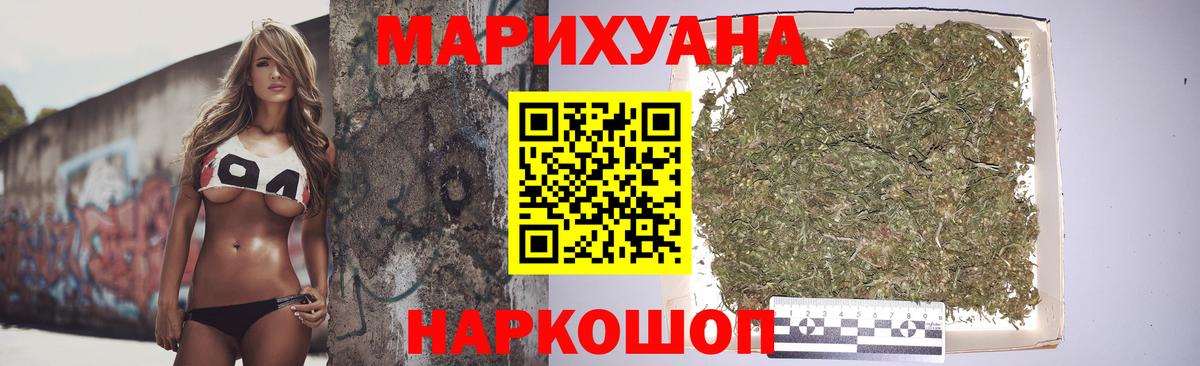 Бошки Шишки семена Сунжа